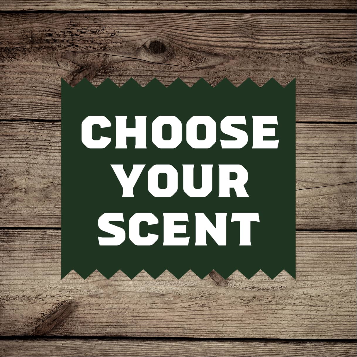 Body Wash 4-Pack - Travel Edit