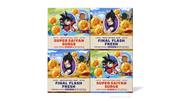 Dragon Ball Z 4-Pack - Ready Routine