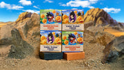 Dragon Ball Z 4-Pack - Ready Routine