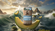 Coastal Mist Invisible Glide Deodorant - Clean Mood