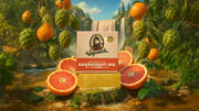 Grapefruit IPA - Body Care