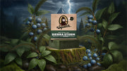 Sierra Storm - Easy Spritz