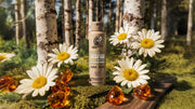Birchwood Breeze Spray Deodorant - Fresh Notes