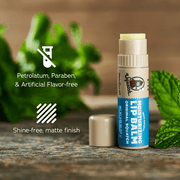 Lip Balm 4-Pack - Classic Pick