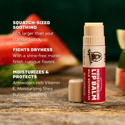 Lip Balm 4-Pack - Fresh Pair
