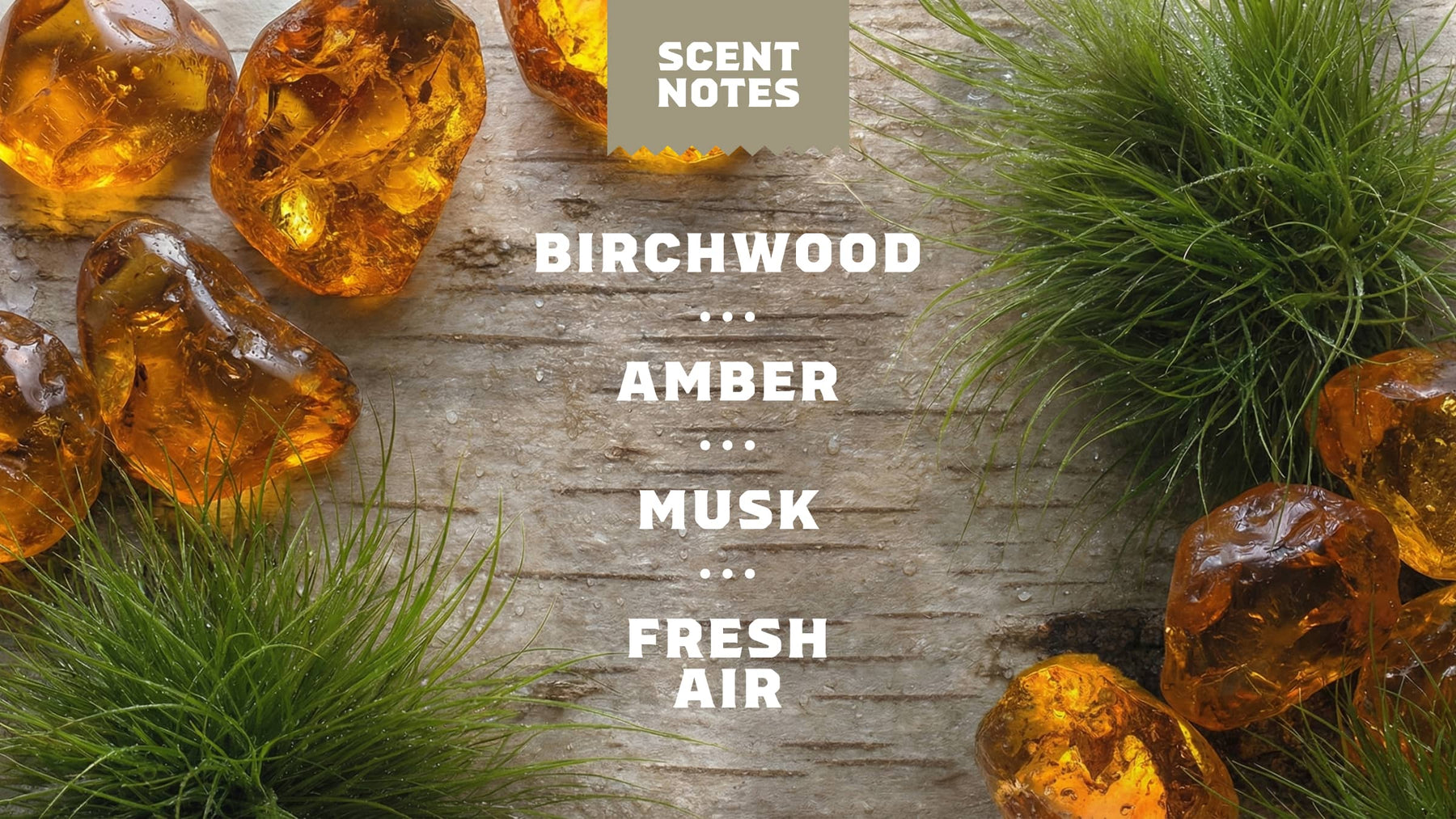 14 oz Birchwood Breeze Body Wash - Bright Scent