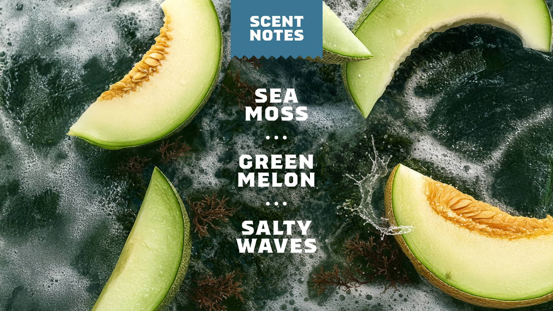14 oz Coastal Mist Body Wash - Easy Spritz