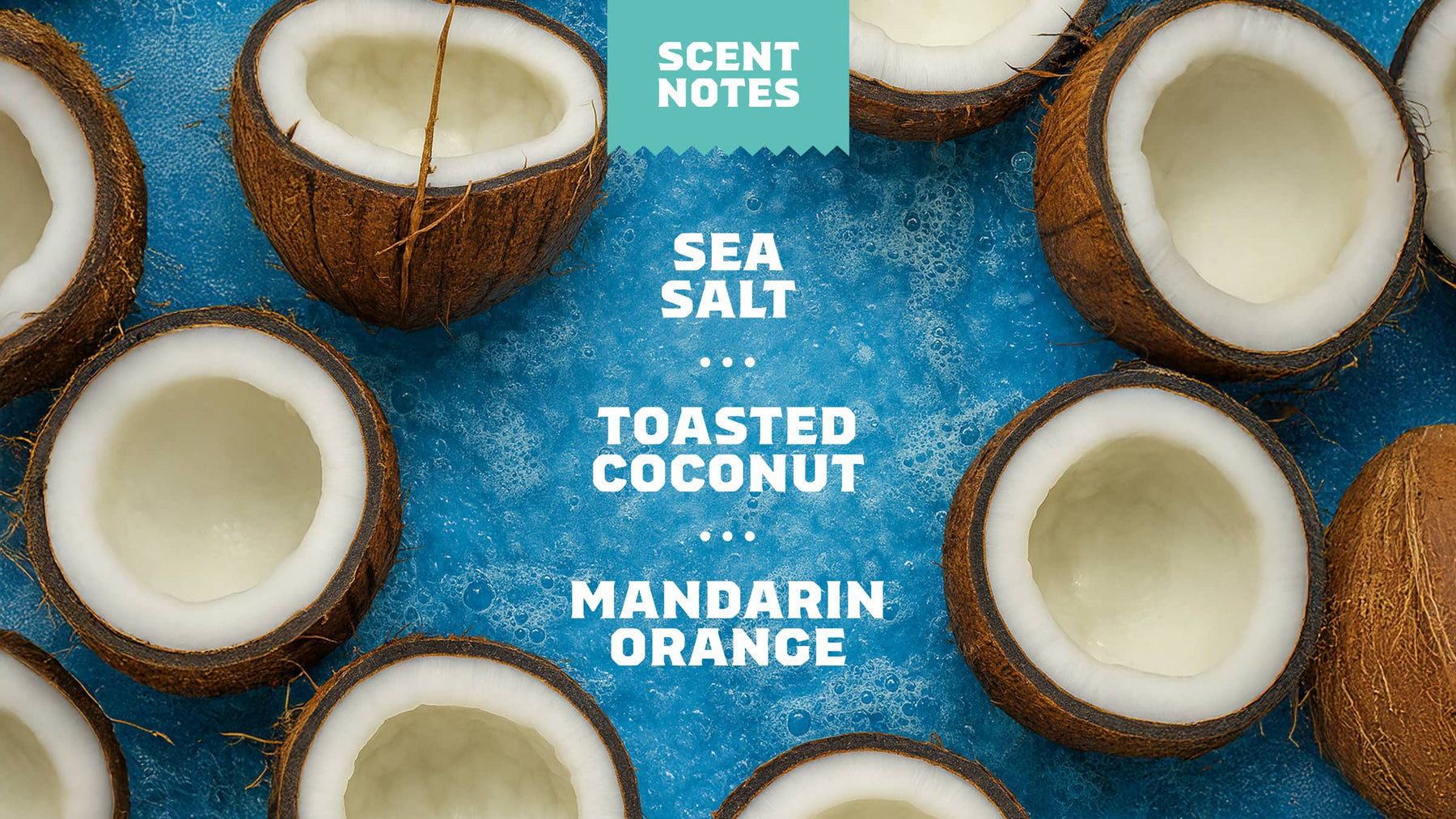 Coconut Castaway Invisible Glide Deodorant - Easy Care