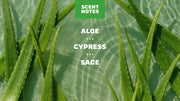 Cool Fresh Aloe Full & Thick Shampoo - Modern Blend