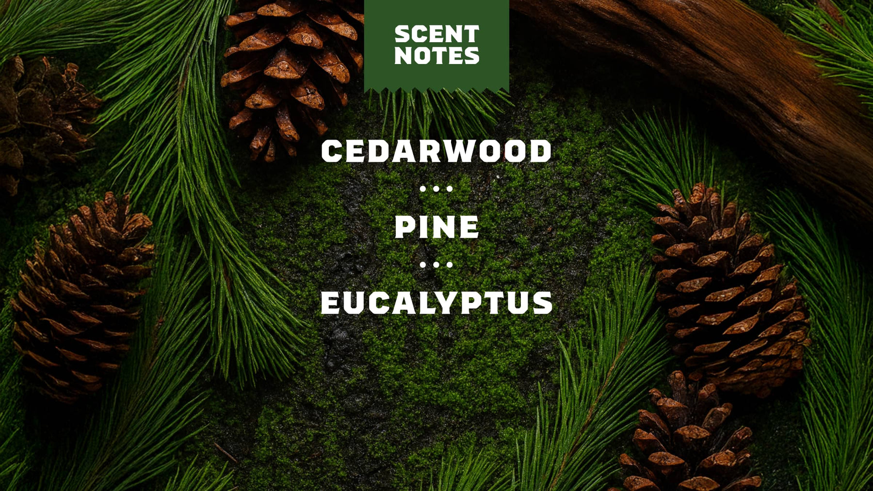 Pine Tar Exfoliating Face Wash - Bright Scent