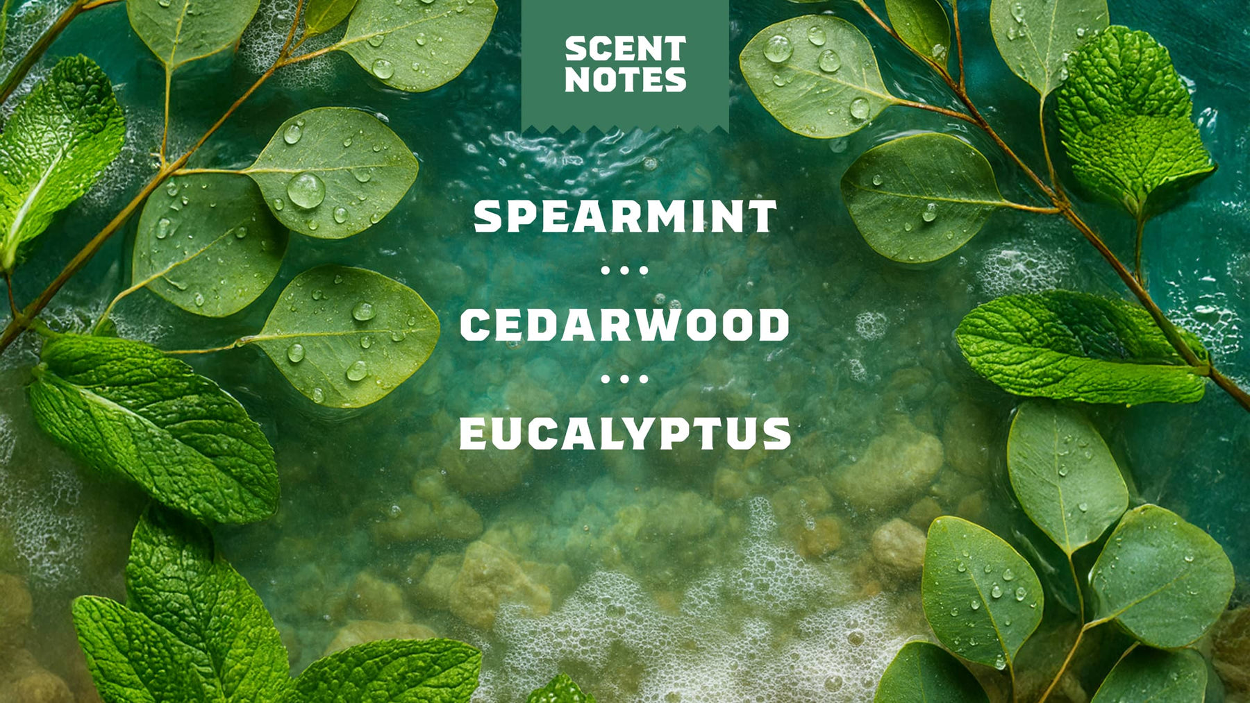 Rainforest Rapids Refreshing Face Wash - Warm Blend