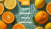 Summer Citrus - Clean Feel