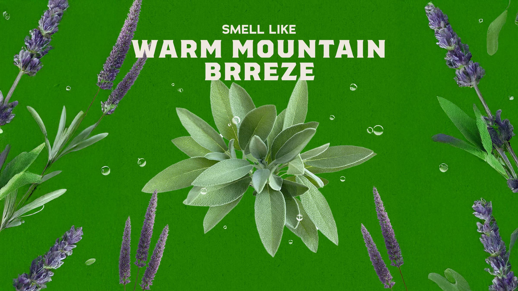 Deodorant Christian - Gentle Mist