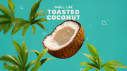 Coconut Castaway Invisible Glide Deodorant - Easy Care