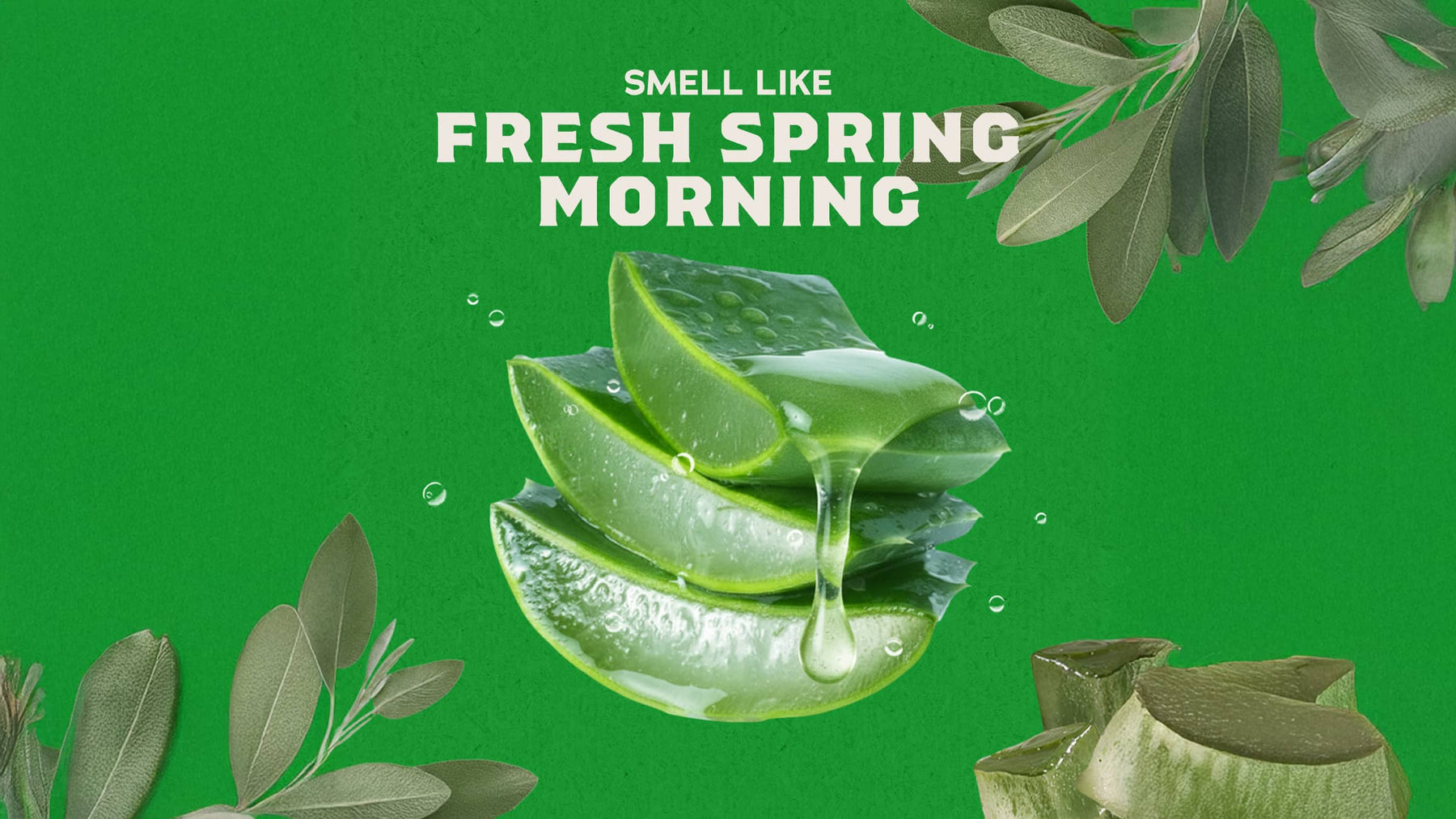 Cool Fresh Aloe - Smooth Touch
