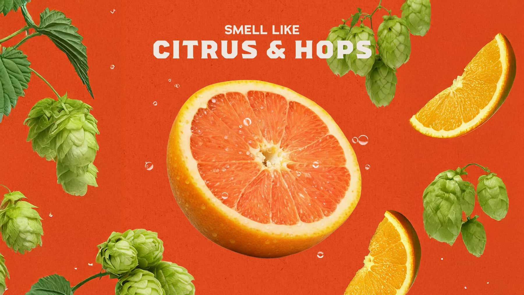 Grapefruit IPA - Body Care