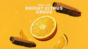 Summer Citrus Deodorant - Simple Touch